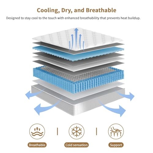 Colchón Queen, Colchón Híbrido - Memory Foam Mattress In A Box Queen reseña y precio